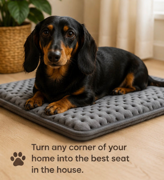 Dog and Cat Heating Pad